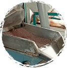 Seed cleaning to remove impurities