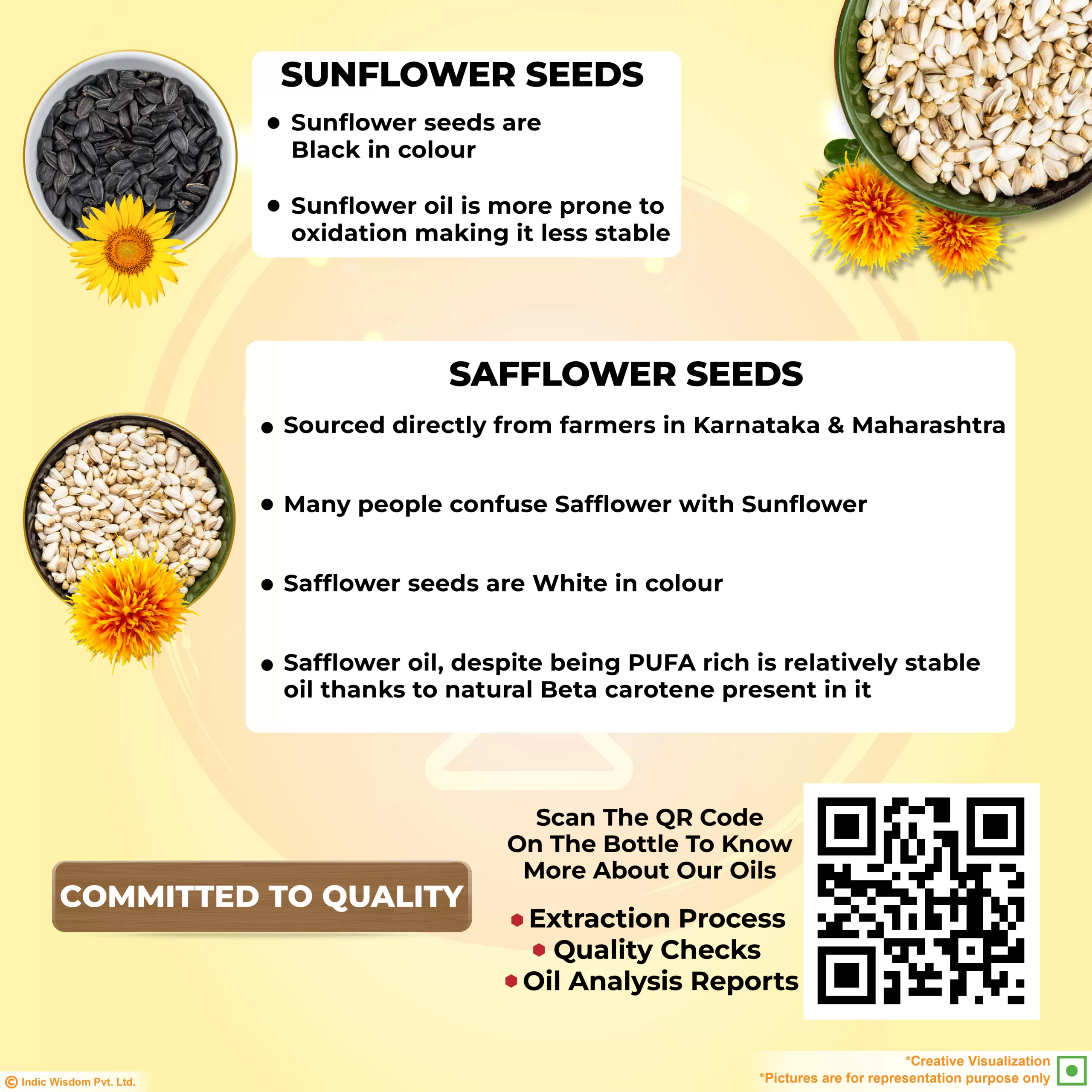 Sunflower seeds vs safflower seeds