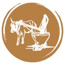Agriculture Icon